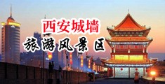 荡妇一区视频中国陕西-西安城墙旅游风景区